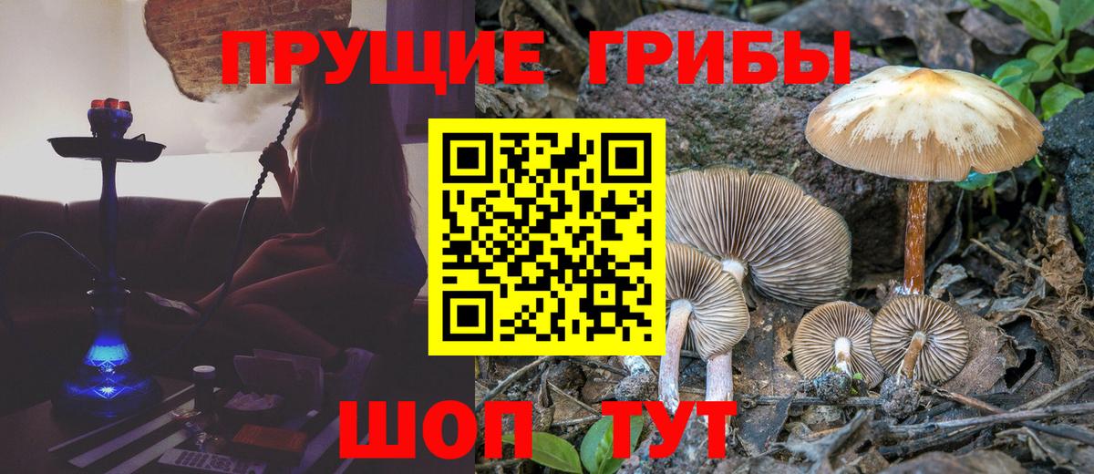 Псилоцибиновые грибы GOLDEN TEACHER Новый Уренгой