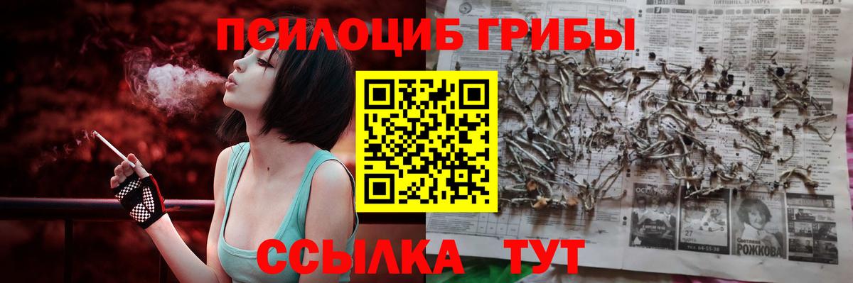 Новый Уренгой  Галлюциногенные грибы мицелий  Галлюциногенные грибы Psilocybe  Вход с VPN 